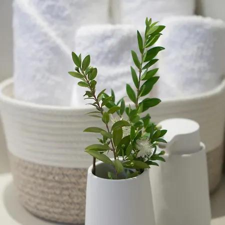 Appartement Anemoami