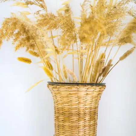 Anemoami Appartement *