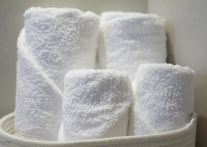 Anemoami * Cárpatos