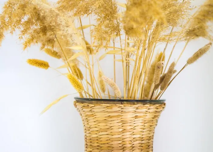 Anemoami 아파트 *