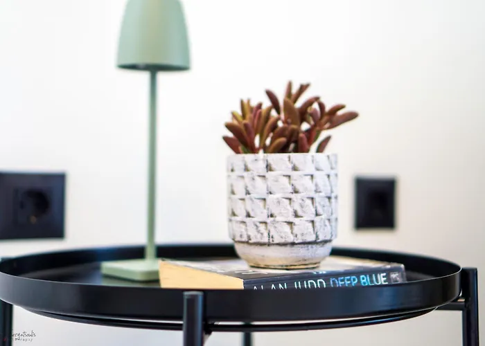 Anemoami Apartamento *